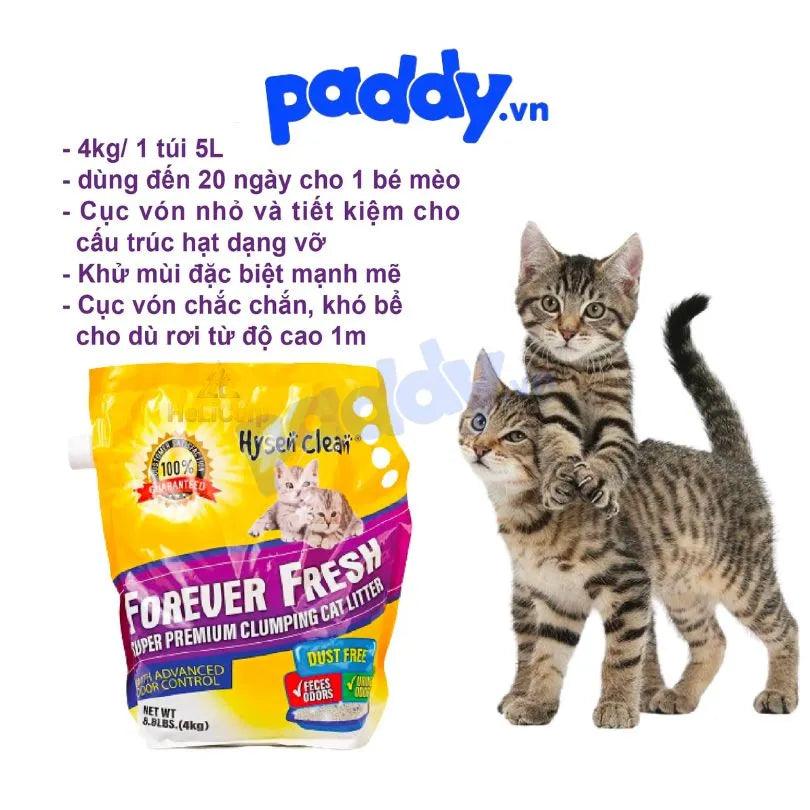 Cát Mèo Đất Sét Đá Khoáng Núi Lửa Hysen Clean 4kg - Paddy Pet Shop