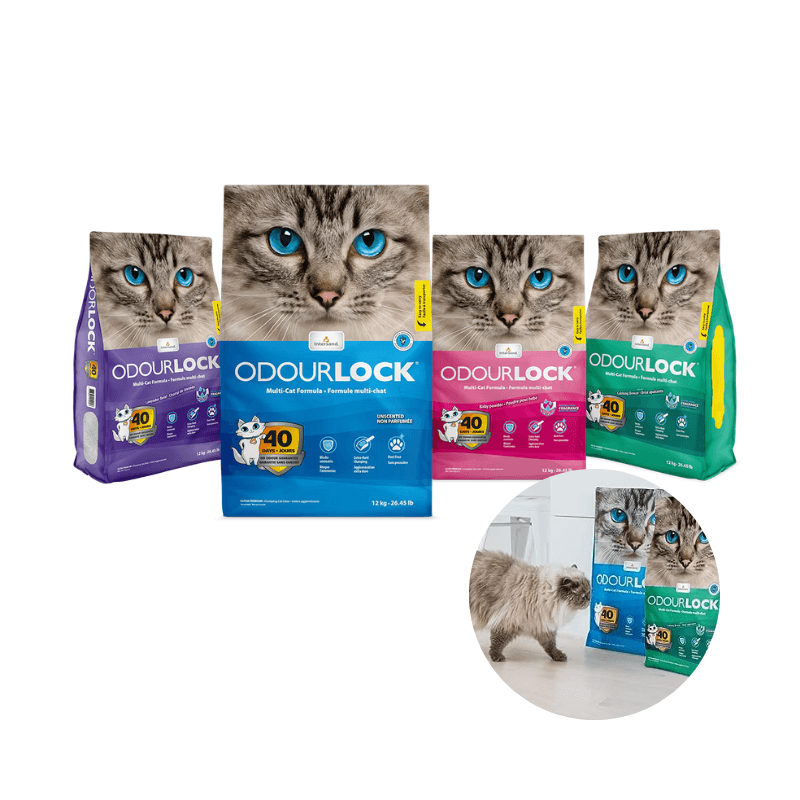 Cát Đất Sét Mèo Cao Cấp Odourlock (Canada) - Paddy Pet Shop