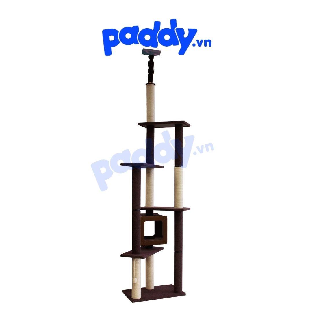 [230cm Double] Tháp Mèo Cào Móng Cattyman Cat Tree - Paddy Pet Shop