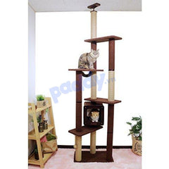 [230cm Double] Tháp Mèo Cào Móng Cattyman Cat Tree - Paddy Pet Shop