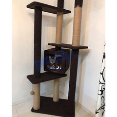 [230cm Double] Tháp Mèo Cào Móng Cattyman Cat Tree - Paddy Pet Shop