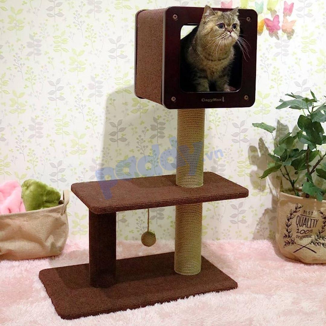 [90cm] Tháp Mèo Cào Móng Cattyman Cat Tree H90 - Paddy Pet Shop