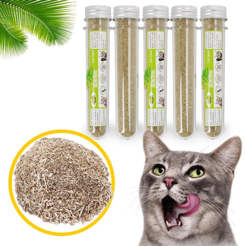 Cỏ Mèo Bạc Hà Catnip Cho Mèo