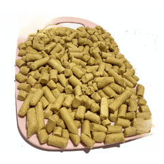 Hỗn Hợp Thịt Cá Sấy Khô Cho Chó Mèo 11 Loại 100g - Paddy Pet Shop