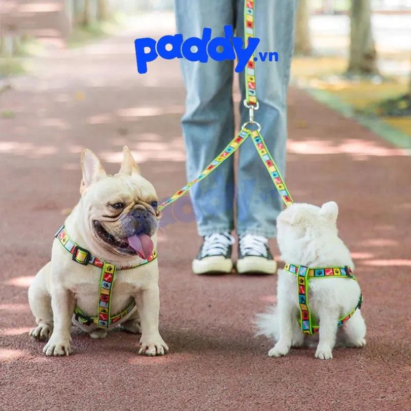 Dây Dắt Chó Mèo Yếm Đôi Dual HipiDog - Paddy Pet Shop