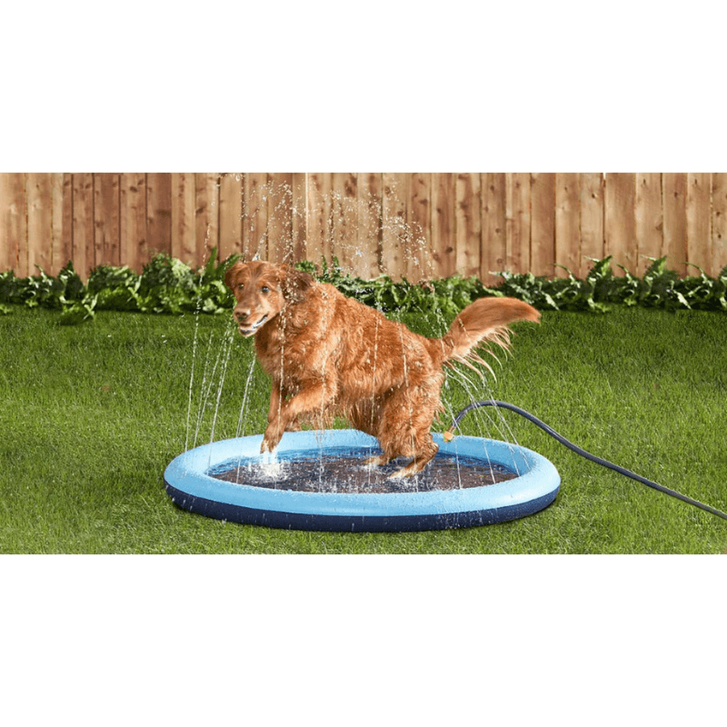 Đệm Phun Nước Cho Chó Mèo FOFOS Doggy Sprinkler Mat 1mx6cm - Paddy Pet Shop