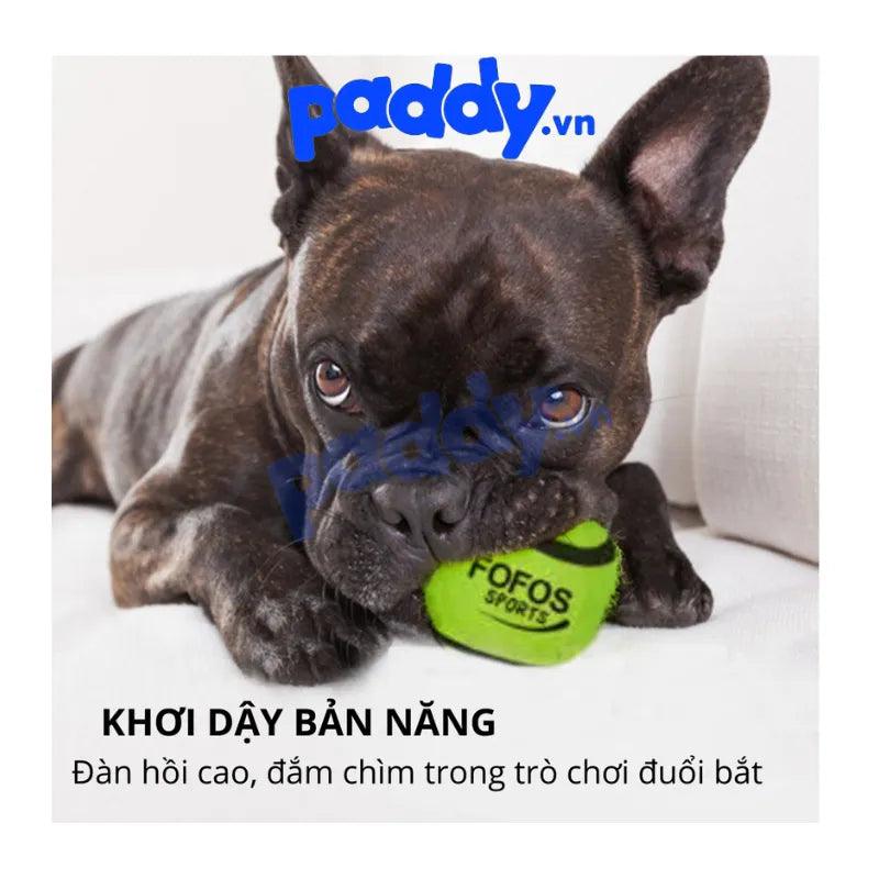 Đồ Chơi Cho Chó Set 2 Banh Tennis FOFOS - Paddy Pet Shop