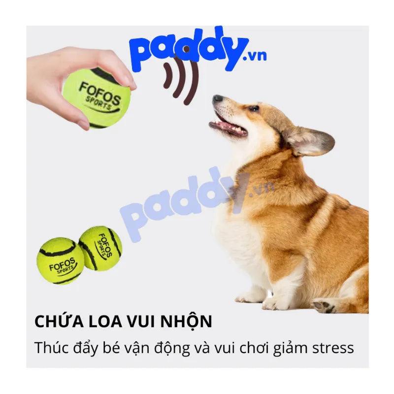 Đồ Chơi Cho Chó Set 2 Banh Tennis FOFOS - Paddy Pet Shop