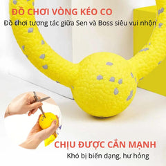 Đồ Chơi Cho Chó Vòng Banh Cao Su Puller FOFOS - Paddy Pet Shop