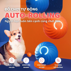 Đồ Chơi Chó Mèo Banh Cảm Biến Tự Động PetQ