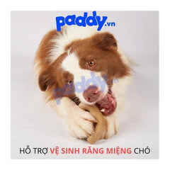 Đồ Chơi Gặm Làm Sạch Răng Cho Chó FOFOS Stix Wooden - Paddy Pet Shop