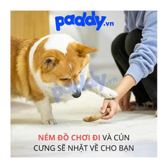 Đồ Chơi Gặm Làm Sạch Răng Cho Chó FOFOS Stix Wooden - Paddy Pet Shop