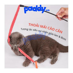 Đồ Chơi Cho Mèo Cần Câu Mèo Co Giãn FOFOS - Paddy Pet Shop
