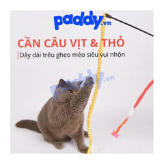 Đồ Chơi Cho Mèo Cần Câu Mèo Co Giãn FOFOS - Paddy Pet Shop