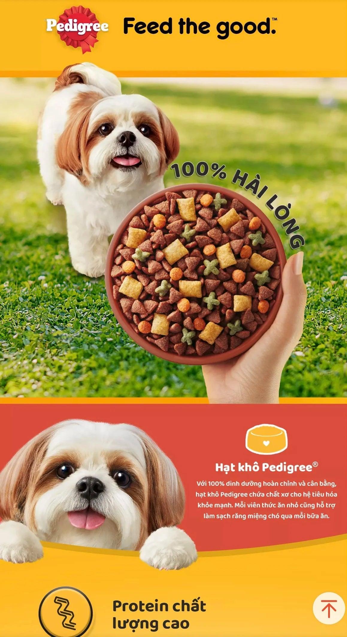 Thức Ăn Hạt Cho Chó Trưởng Thành Giống Nhỏ Pedigree Adult Mini 1.3kg - Paddy Pet Shop