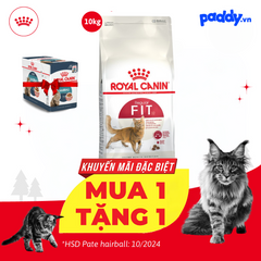 Thức Ăn Hạt Cho Mèo Trưởng Thành Vận Động Thường Xuyên Royal Canin Fit 32