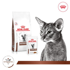 Thức Ăn Hạt Điều Trị Bệnh Cho Mèo Hỗ Trợ Tiêu Hoá Royal Canin Gastrointestinal - Paddy Pet Shop
