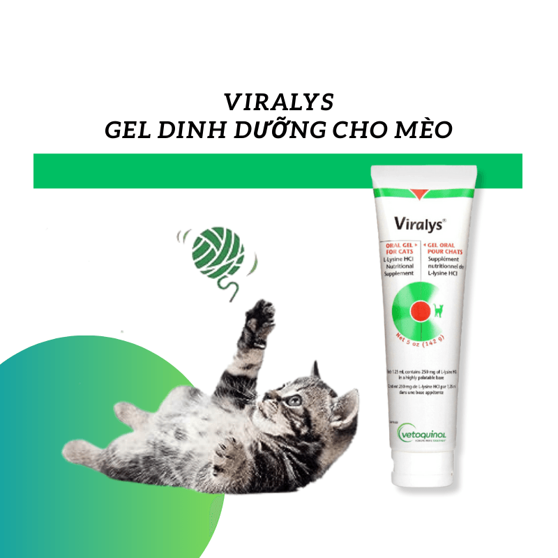 Gel Dinh Dưỡng Mèo Viralys L-Lysine Hỗ Trợ Miễn Dịch, Hô Hấp - Paddy Pet Shop