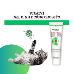 Gel Dinh Dưỡng Mèo Viralys L-Lysine Hỗ Trợ Miễn Dịch, Hô Hấp - Paddy Pet Shop