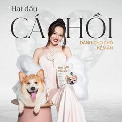 Hạt Cho Chó King's Pet Dầu Cá Hồi By BA