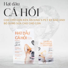 Hạt Cho Chó King's Pet Dầu Cá Hồi By BA