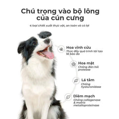 Hạt Cho Chó Lemo Vị Gà Mix Topping 1.5kg - Paddy Pet Shop