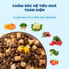 Hạt Cho Chó Mr Vet  D1 Chăm Sóc Hệ Tiêu Hoá