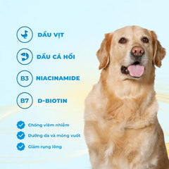 Hạt Cho Chó Mr Vet  D1 Chăm Sóc Hệ Tiêu Hoá