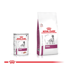 Thức Ăn Hạt Điều Trị Bệnh Cho Chó Hỗ Trợ Thận Royal Canin Renal 2kg - Paddy Pet Shop