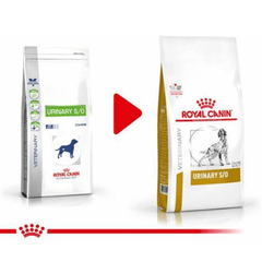 Thức Ăn Hạt Điều Trị Bệnh Cho Chó Bị Sỏi Thận Royal Canin Urinary 2kg - Paddy Pet Shop