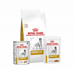 Thức Ăn Hạt Điều Trị Bệnh Cho Chó Bị Sỏi Thận Royal Canin Urinary 2kg - Paddy Pet Shop