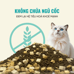Hạt Cho Mèo Bite of Wild Không Ngũ Cốc Nhiều Thịt 1Kg