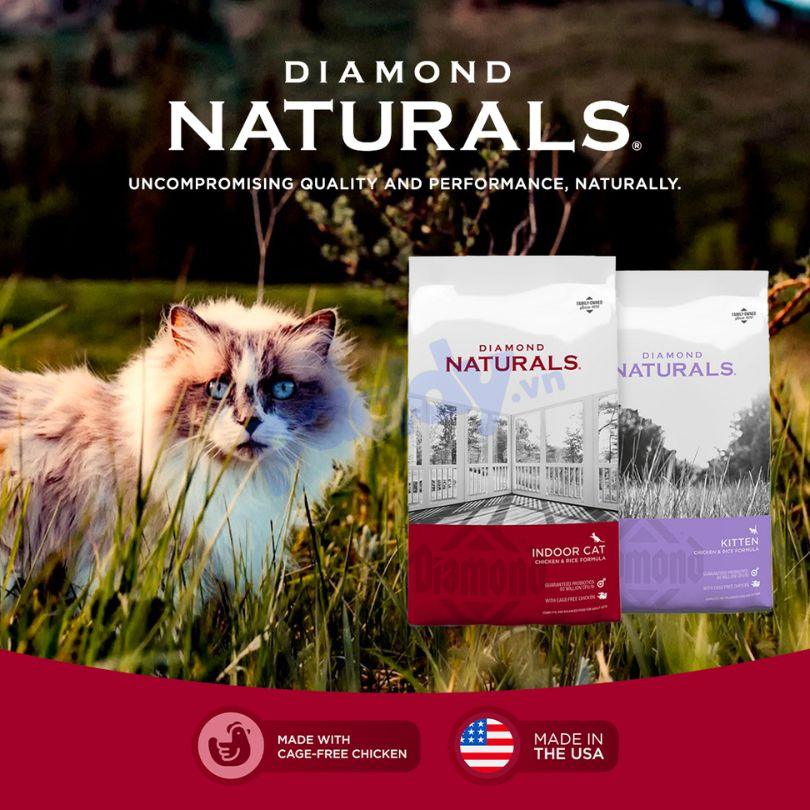 Thức Ăn Mèo Hạt Diamond Naturals Vị Gà Và Gạo - Paddy Pet Shop