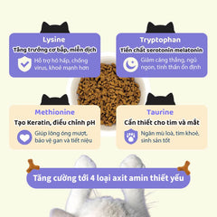 Hạt Cho Mèo Mọi Lứa Tuổi Cattyman