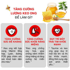 Hạt Cho Mèo Mọi Lứa Tuổi Today's Dinner