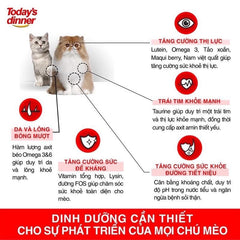 Hạt Cho Mèo Mọi Lứa Tuổi Today's Dinner