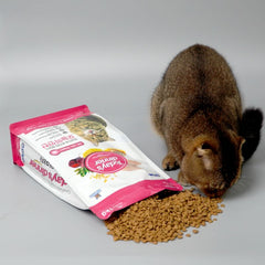 Hạt Cho Mèo Mọi Lứa Tuổi Today's Dinner