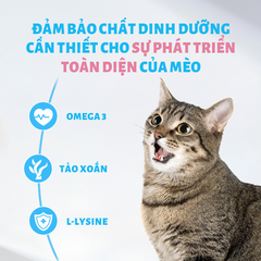 Hạt Cho Mèo Mr Vet 1KG