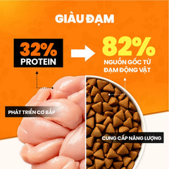 Hạt Cho Mèo Mọi Lứa Tuổi On25 Cat Đạm Cao 32%