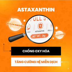Hạt Cho Mèo Mọi Lứa Tuổi On25 Cat Đạm Cao 32%