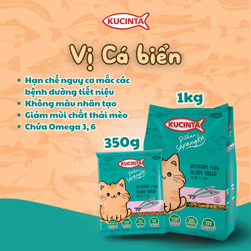 Hạt Kucinta Cho Mèo Mọi Lứa Tuổi