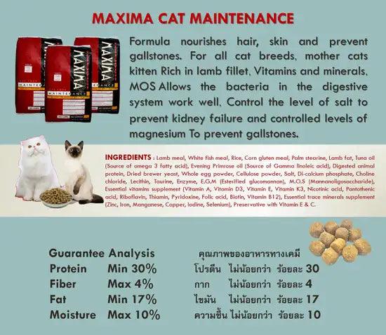 Hạt Mèo Trưởng Thành Maxima Cat (Thái Lan) - Paddy Pet Shop