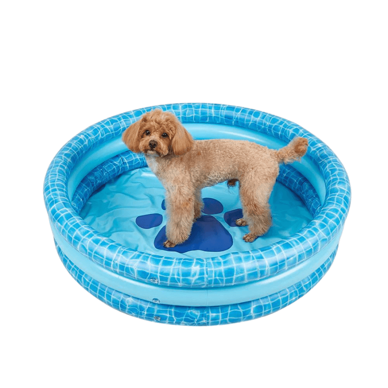 Hồ Bơi Bằng Phao Cho Chó FOFOS Inflatable Pet Pool 1mx26cm - Paddy Pet Shop