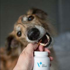 Viên Hỗ Trợ Điều Trị Bệnh Về Da Cho Chó Mèo Vet Expert VetoSkin