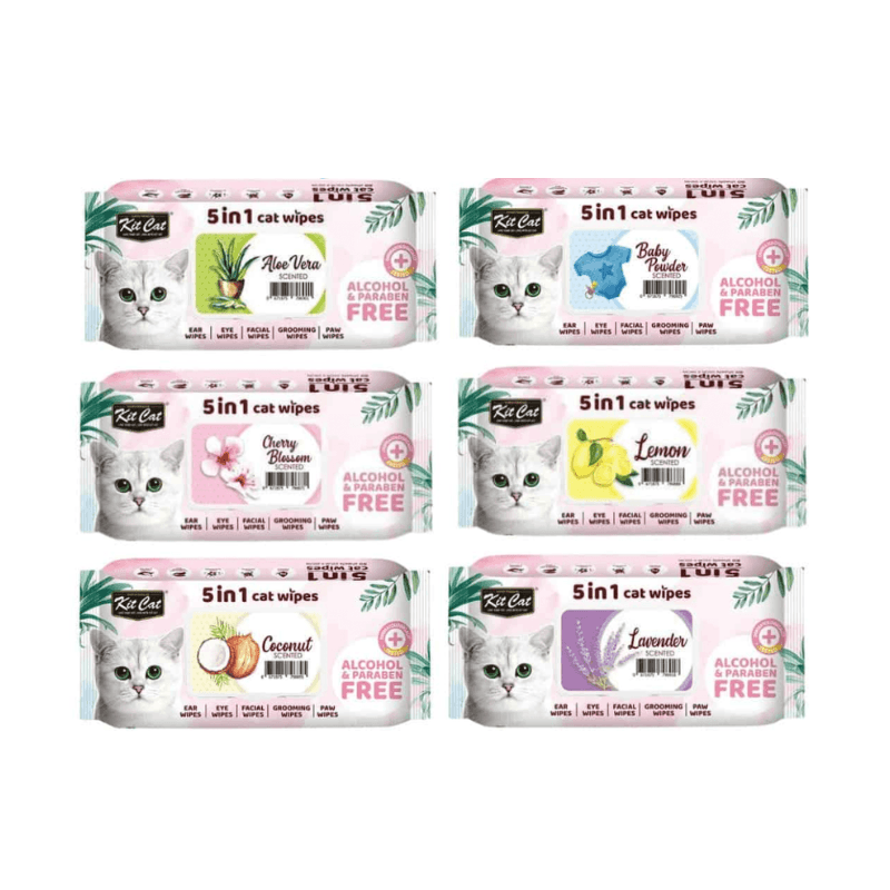 Khăn Giấy Ướt Kháng Khuẩn, Tắm Khô Cho Mèo Kit Cat (80 Miếng) - Paddy Pet Shop