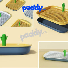 Khay Vệ Sinh Cho Chó Pakeway Xương Rồng - Paddy Pet Shop