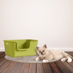 Khay Vệ Sinh Cho Mèo 42x30cm