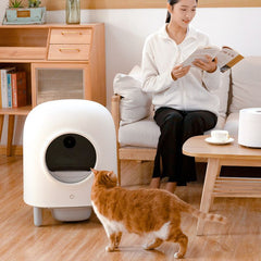 Máy Dọn Phân Tự Động Cho Mèo Petree Version 2