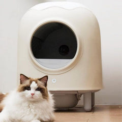 Máy Dọn Phân Tự Động Cho Mèo Petree Version 2