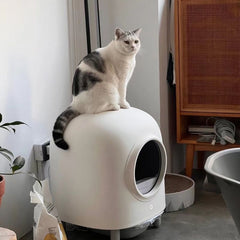 Máy Dọn Phân Tự Động Cho Mèo Petree Version 2